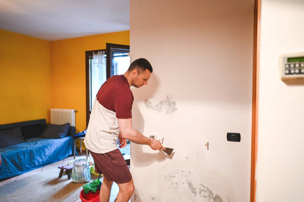 Mold Testing and Removal in Belleville, WI
